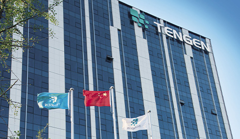 Tengen Electric Co., Ltd.