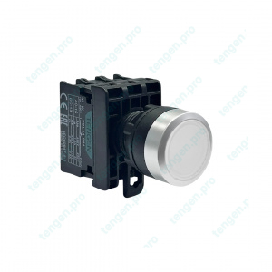 Кнопка TGLA1-DP3, 2NO, 3A(230VAC), белая, LED 24VAC/DC, IP65