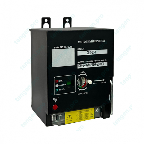 Привод моторный TGM1NE-CD2-250, 110_240VAC/100_220VDC, для TGM1NE-250_320