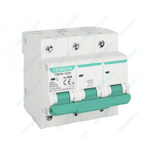 Выключатель автоматический TGB1N-125H, 3P, 80A, хар-ка B, 10kA, 4.5M