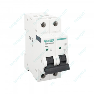 Выключатель автоматический TGB3-63HDC, 2P, 63A, хар-ка B, 10kA, 250VDC на полюс, 2M