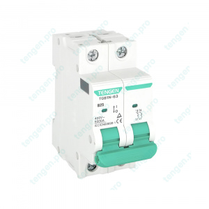 Выключатель автоматический TGB1N-63, 2P, 25A, хар-ка B, 6kA, 2M